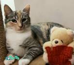 изображение_viber_2023-11-27_11-10-26-670