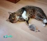 IMG_20231130_155212_914