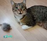 IMG_20231130_155233_275