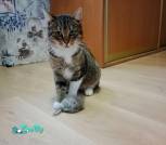IMG_20231130_155249_647