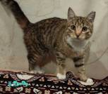 IMG_20231201_105323_892