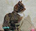 IMG_20231201_105354_018