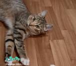 IMG_20231201_105410_744