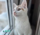 IMG_5655