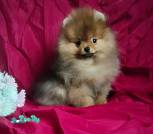 IMG_20231221_145955