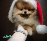IMG_20231229_152429