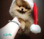 IMG_20231229_152515