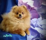 IMG_20231121_135528