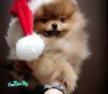 IMG_20231229_152343