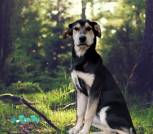 PicRetouch_20231116_004308457