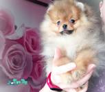 IMG_20240109_133058