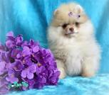 IMG_20240312_141500_750
