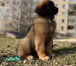 IMG_20240317_014940