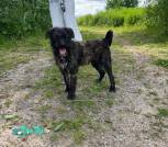 изображение_viber_2024-06-26_12-18-32-782