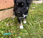 изображение_viber_2024-05-20_08-48-32-813