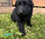 изображение_viber_2024-05-20_08-48-33-766