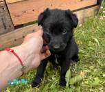 изображение_viber_2024-05-20_08-48-34-884