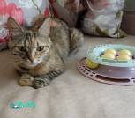 IMG_20240726_125257