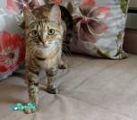 IMG_20240726_125348