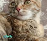 IMG_20240726_155536