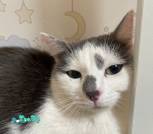 IMG_20240404_092252_214