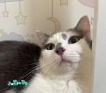IMG_20240404_092252_706