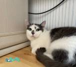 IMG_20240404_092252_901