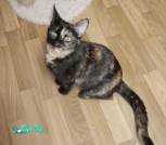 IMG_20250206_012047