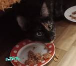 IMG_20251028_021842_cr