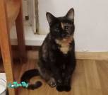 IMG_20251028_024256_cr