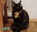 IMG_20251028_024339_cr