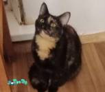 IMG_20251028_024354_cr