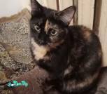 IMG_20251028_030234_cr