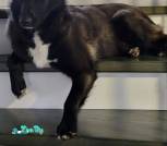 IMG-7ea019c19c061beccf7ea43cafa28b89-V