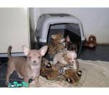 all familly together