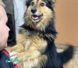 IMG-20241214-WA0065