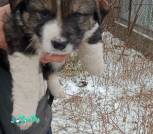 IMG_20250106_105238
