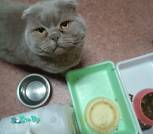 IMG_20250124_172126