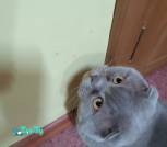 IMG_20250124_173232
