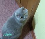 IMG_20250124_173352