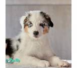 SquarePic_20250417_01585231