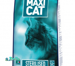 Maxi Cat St