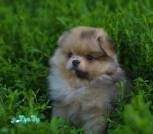 photo_2025-03-27_10-42-38 (4)