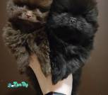 IMG_20250321_092602