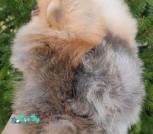 IMG_20250321_101523