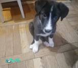 IMG-20250412-WA0013