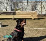 IMG_20250419_093243_235