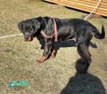 IMG_20250419_093300_448
