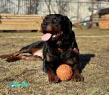 IMG_20250419_093321_252