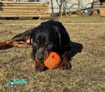 IMG_20250419_093341_644